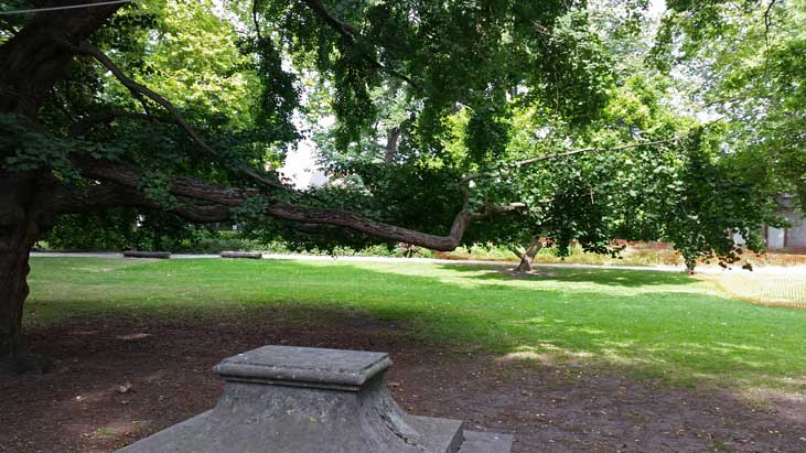 Het groene karakter van het Mechels stadspark is een publiektrekker